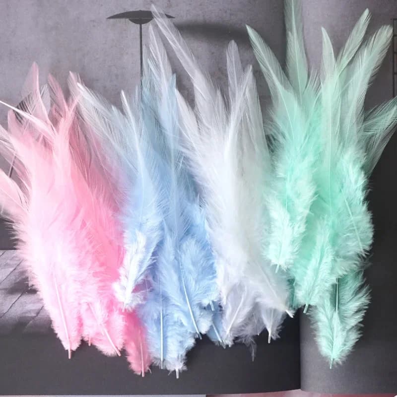 Plumes de coq roses, plumes de poulet naturelles, accessoires de décoration pour attacher des mouches, artisanat pour travaux d'aiguille et artisanat, Dersses Musilm