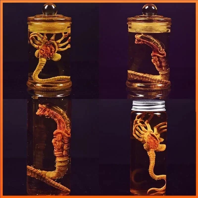 Anime Alien prédateur Alien Larva visage Bug figurines jouets Chestburster Facehugger Culture réservoir