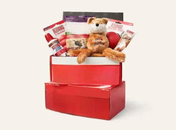KONG BOX pour chiot, Fit, 2-9kg