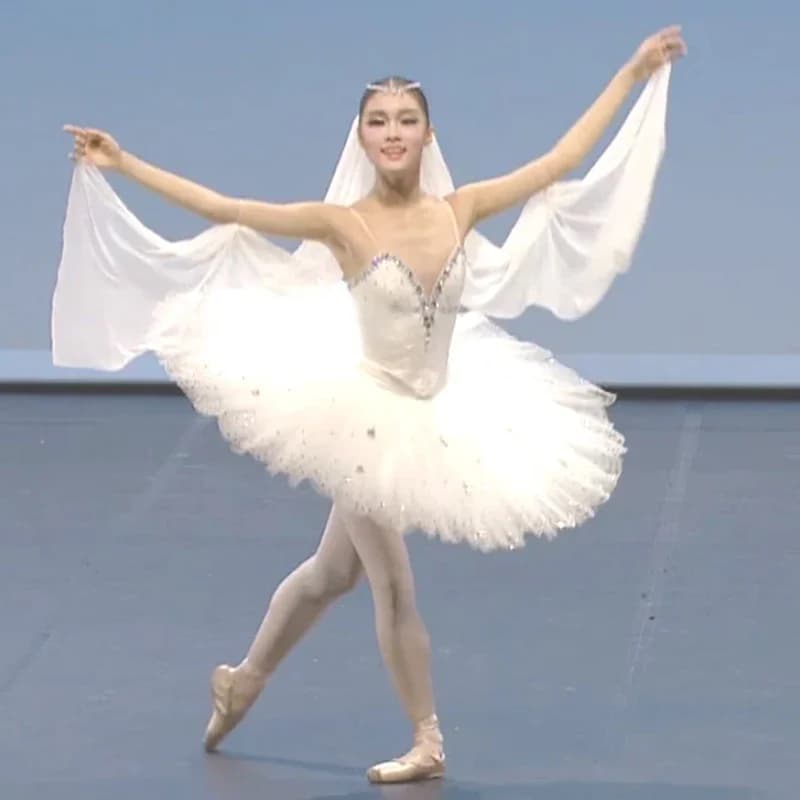 Adulte blanc professionnel Ballet Tutu femmes Ballet danse compétition Costume patinage artistique robe cygne lac Ballet robe filles