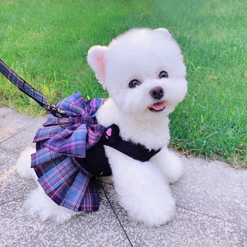 Robe d'été pour chien et chat avec laisse SFP, jupe mignonne pour petits chiens, chihuahua, bichon, robes de chiot de luxe, vêtements pour animaux de compagnie, printemps