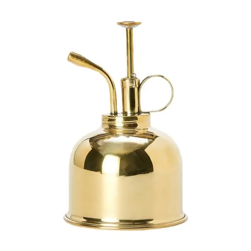 Arrosoir en laiton vintage pour plantes succulentes, bouteille de pulvérisation dorée pour jardinage, pot d'arrosage, outil de jardin