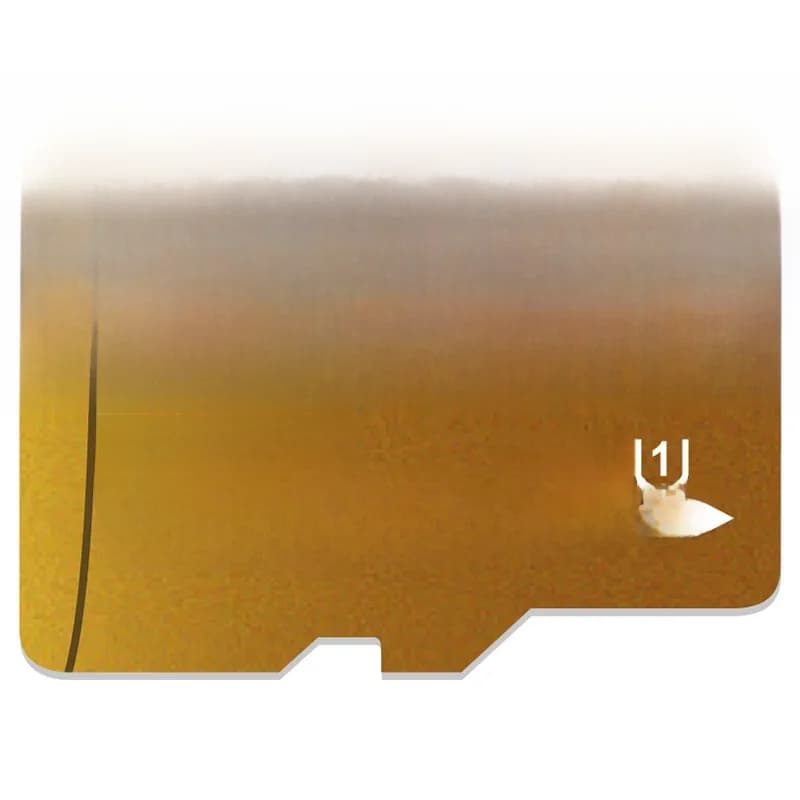 Carte mémoire 16 Go 32 Go Mini carte SD 64 Go 128 Go 256 Go MiniSD Max Ultra C10 Carte TF Cartao De Memoria pour téléphone portable et surveillance