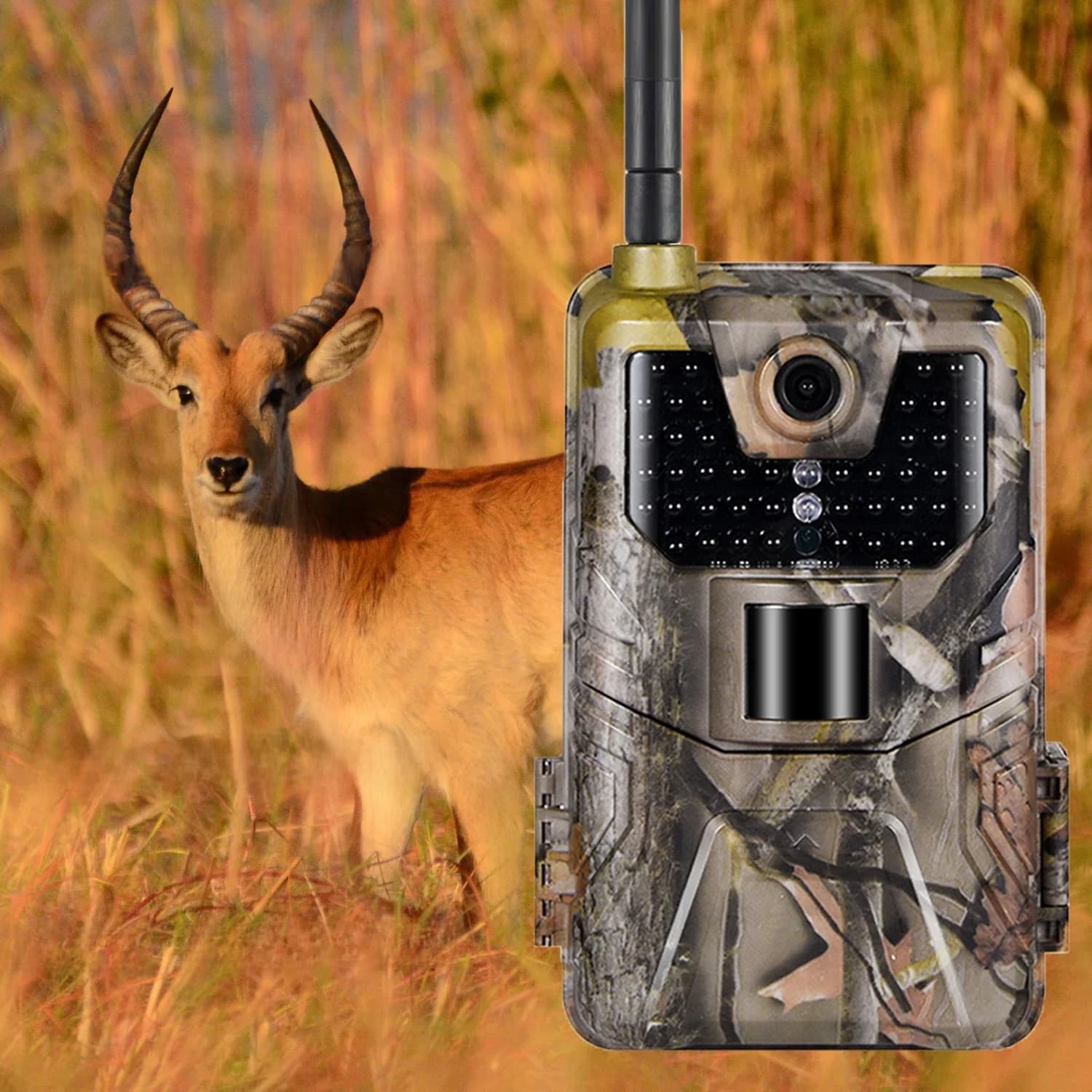 Caméra de chasse à la faune 2G MMS SMTP, caméra de surveillance par e-mail 20MP 1080P, vision nocturne, piège photo, cellulaire sans fil HC900M