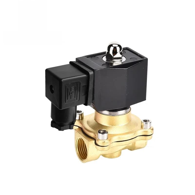 Électrovanne étanche IP65, 1/2 pouces, 2 voies, 220V, 12V, 24V, 110V, laiton normalement fermé, ouvert
