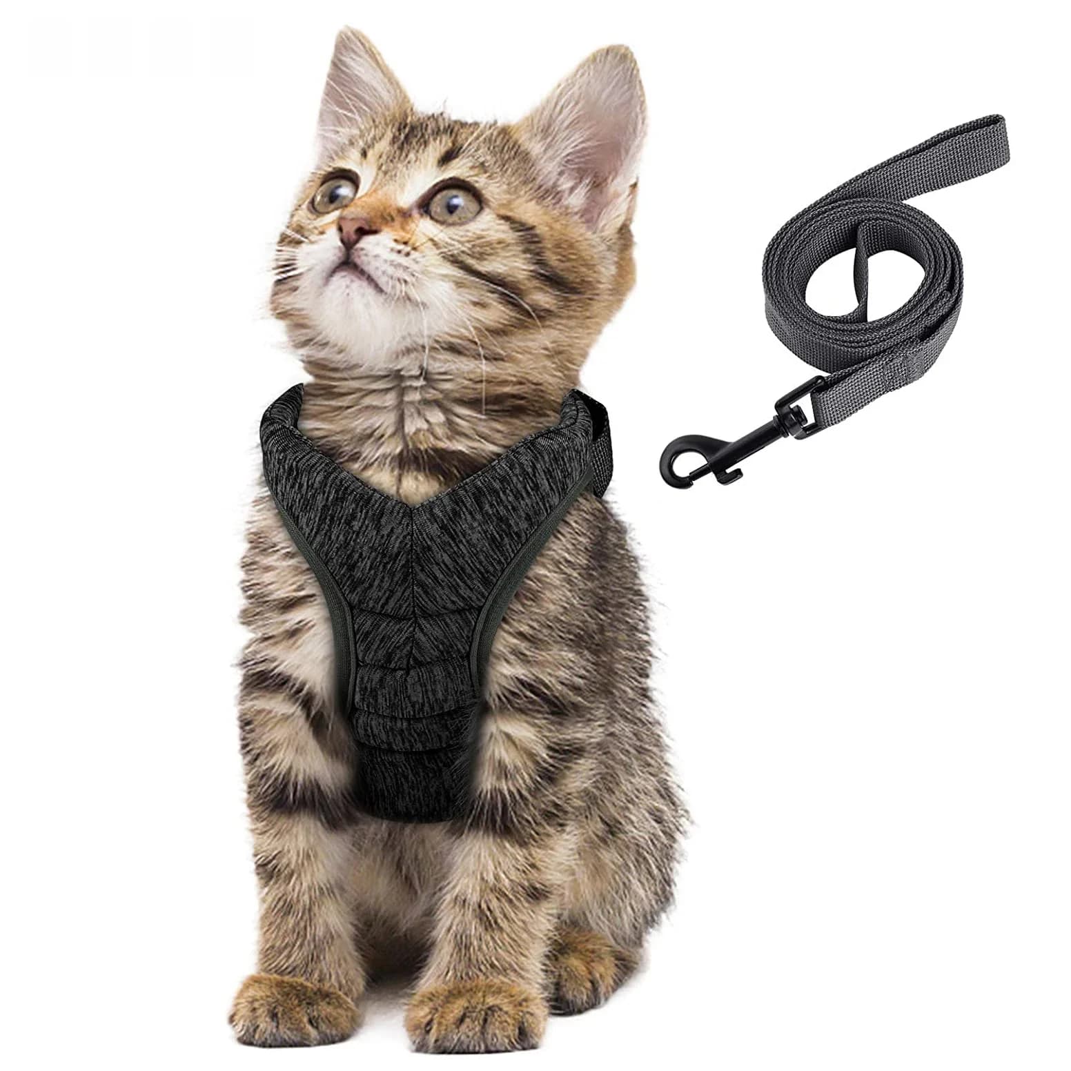 Harnais réglable anti-évasion pour chaton, léger, respirant et doux, gilet de sécurité pour animaux de compagnie, laisse de traction pour chaton