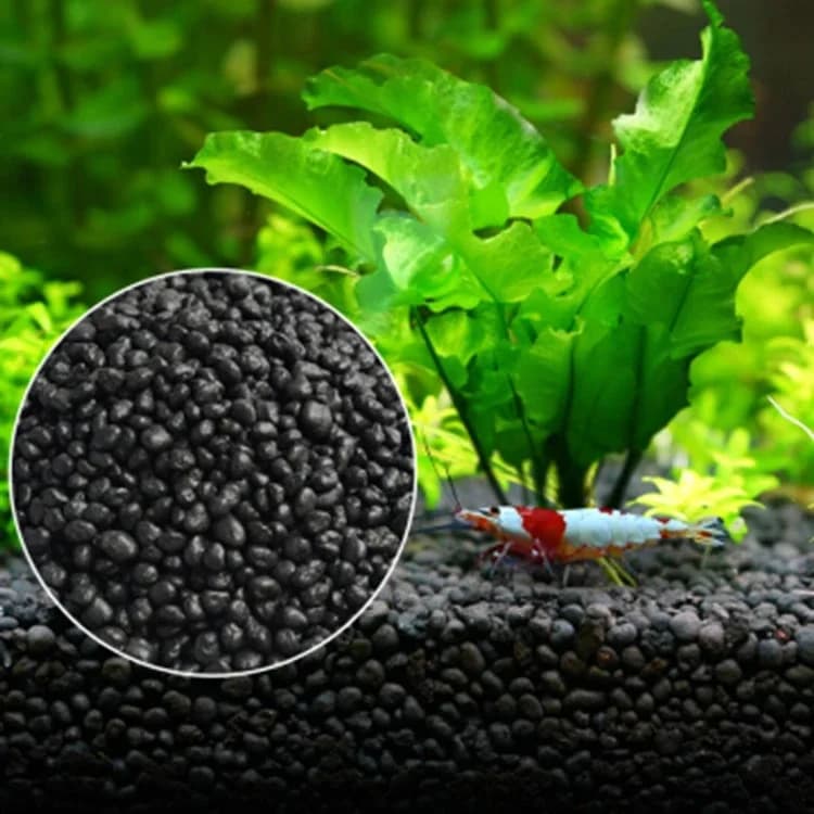 Sol de graines de plantes d'aquarium, support d'aquarium, navigateur de sable, boue pour poissons, soins des plantes précieuses, accessoires d'aquarium d'eau douce