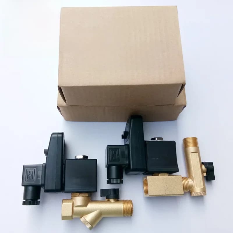 Valve de vidange électrique en laiton, 1/2 pouces, avec minuterie pour l'eau, 220V 110V 24V 16bar