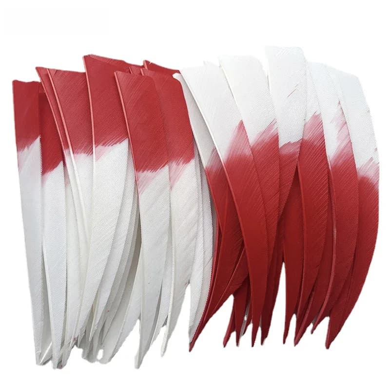 Bouclier de plumes de flèche en porcelaine de dinde, accessoires de tir à l'arc bricolage, flacons de tir de chasse, 36 pièces, 5 pouces