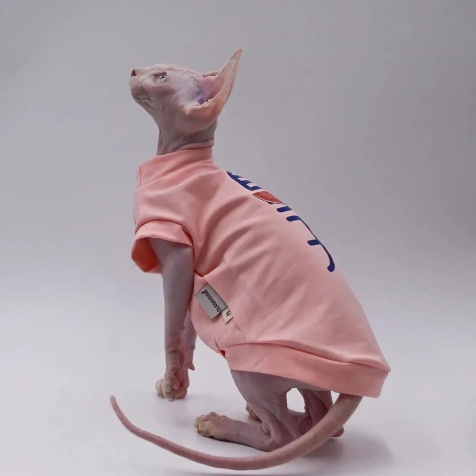 DUOMASUMI Sphynx Vêtements pour chats, minces, sans poils, respirants, anti-chute, été