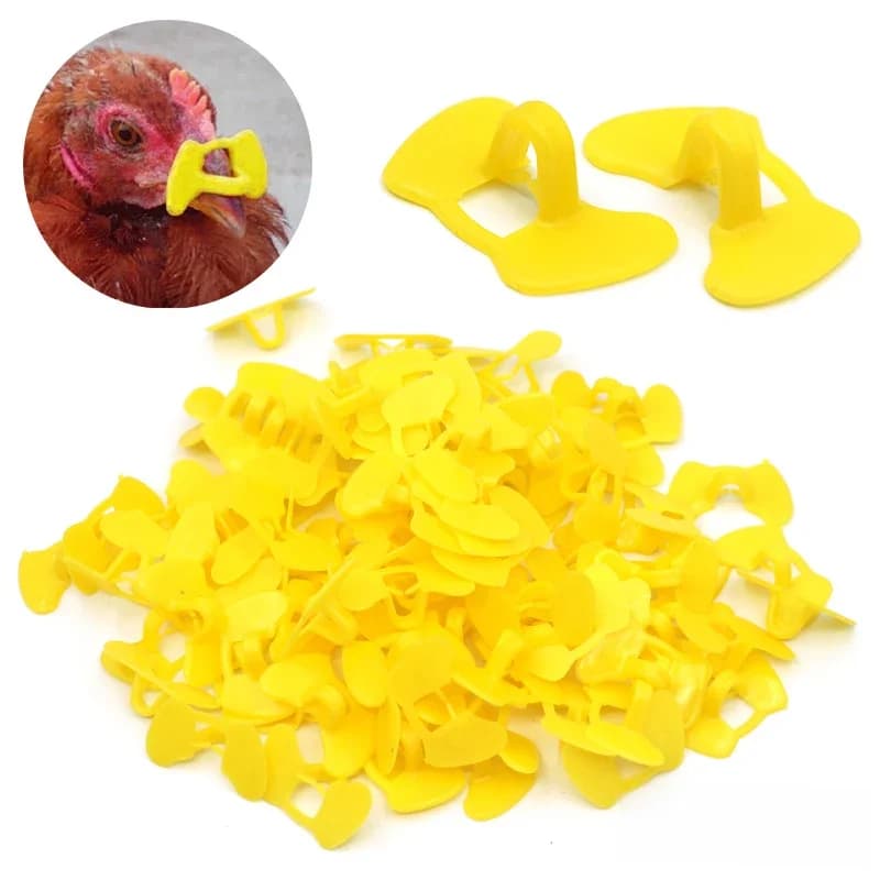 100 pièces Lunettes pour poulets en plastique jaune sans boulon, lunettes anti-picure pour poulets, faucons et équipements avicoles