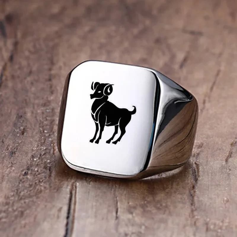 Vnox – bague chevalière de 18mm pour hommes et femmes, bande de doigt du signe du Constellation du zodiaque 12 Horoscope, bague Punk bélier en acier inoxydable