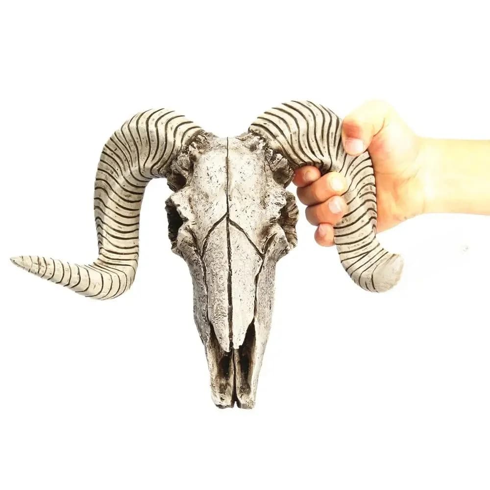 Squelette en résine tête de mouton et de bélier, Sculpture de Longhorn en 3D, décoration de maison