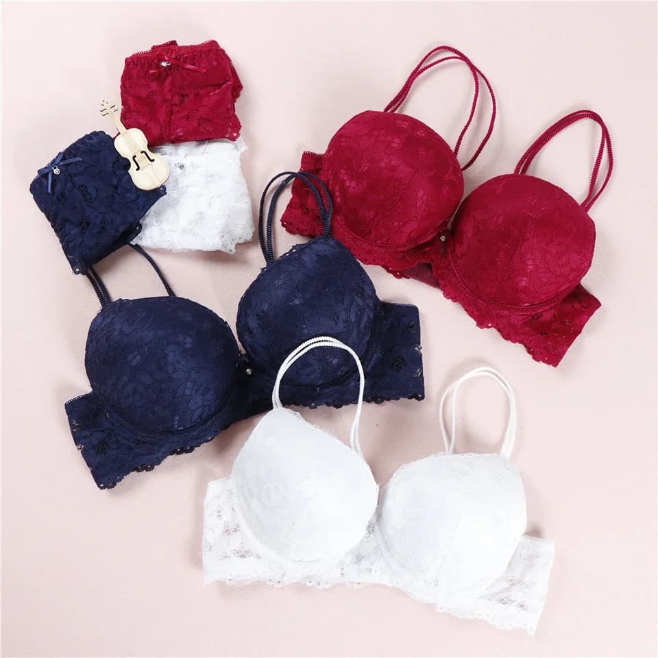 Nouveau Sexy Floral Sexy dentelle ensemble de soutien-gorge Push up Lingerie femmes ensemble de sous-vêtements intimes broderie Multi couleurs intimes