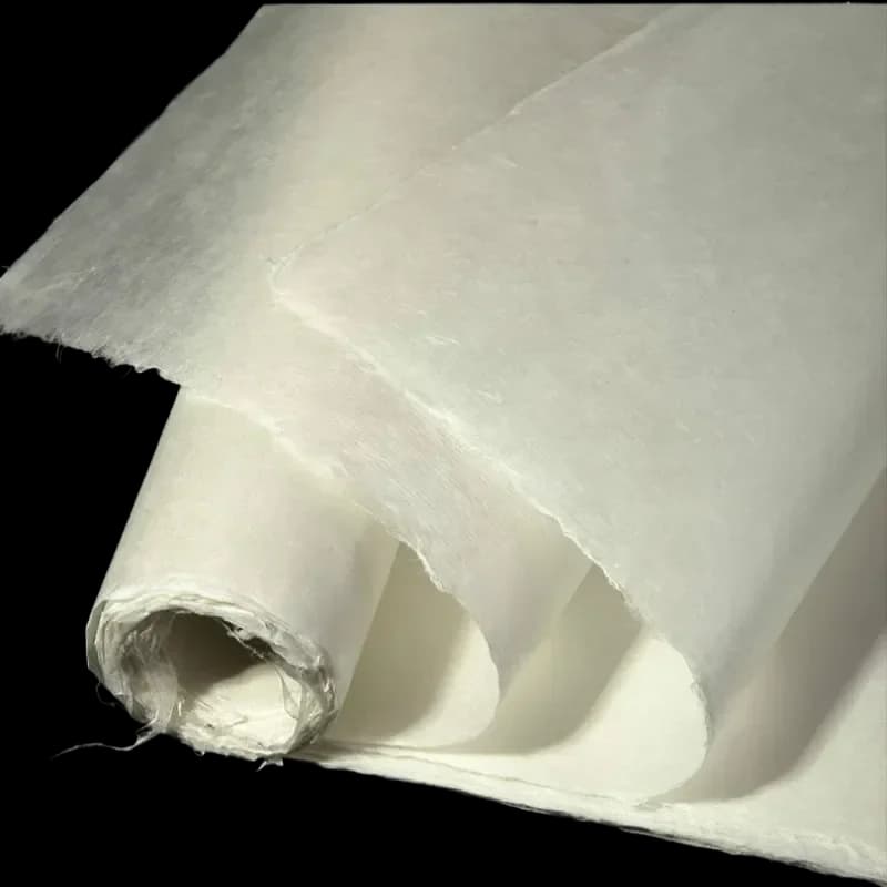Papier en fibre de mûrier chinois, papier Xuan, calligraphie chinoise, peinture, demi-mûr, riz, lanterne, Rijstpapier, 10 feuilles