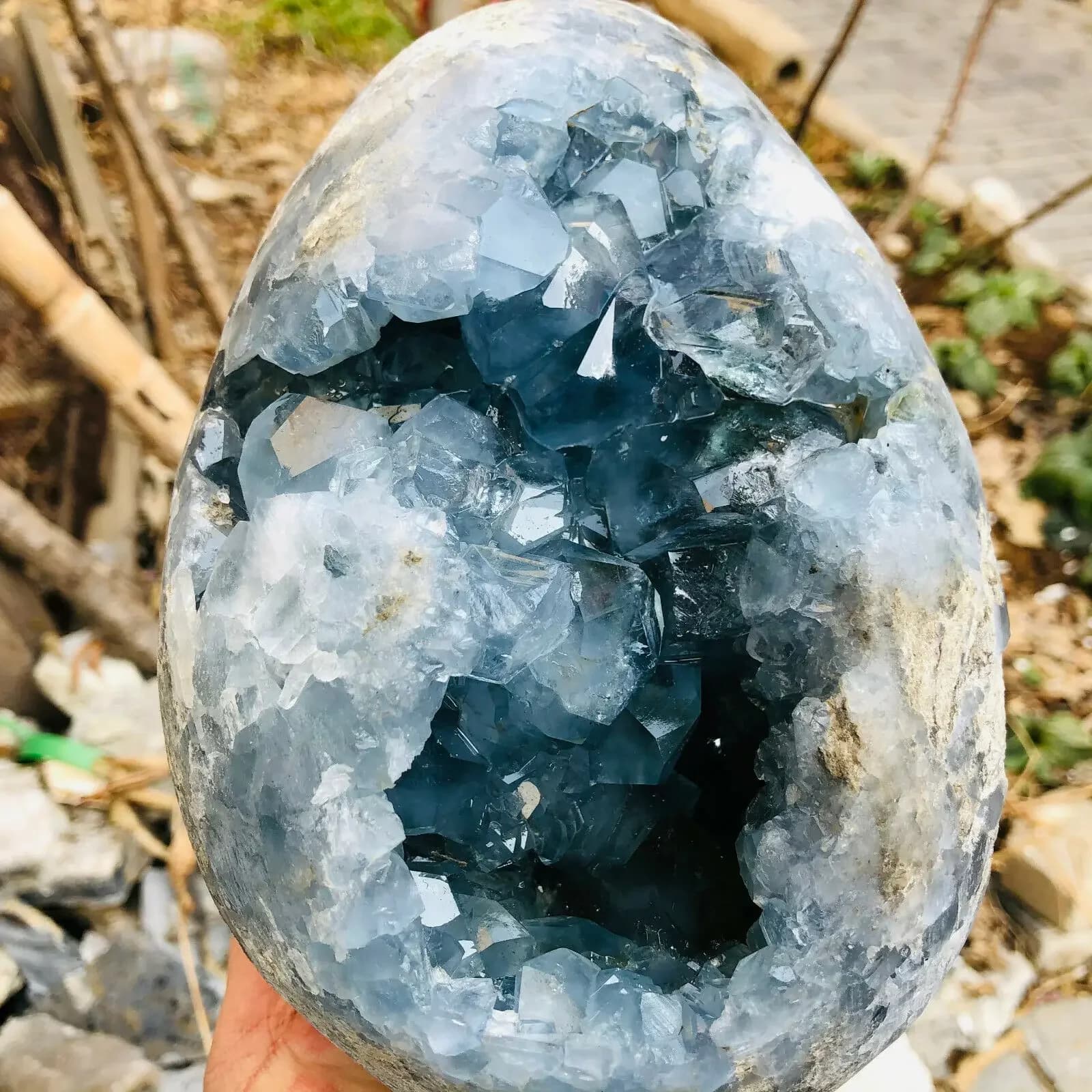 Clip de célestite naturel de Madagascar, géode bleu ciel, spécimen de napperon, grappe de druzy, décoration d'intérieur, 1PC