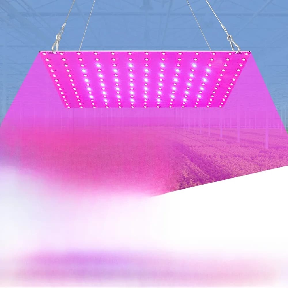 Lampe de croissance de plantes LED à spectre complet, 220V, 1000W, phytolampes pour semis, planche quantique, 1500W, lampes Fito, culture hydroponique, boîte de tente