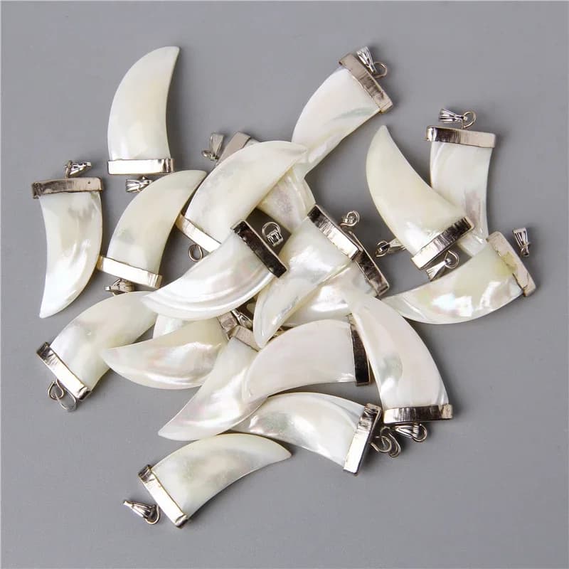 Cornes blanches naturelles en forme de dent, pendentifs en coquillage, breloque pour accessoires de collier, fabrication de bijoux, collier à faire soi-même, beau accessoire