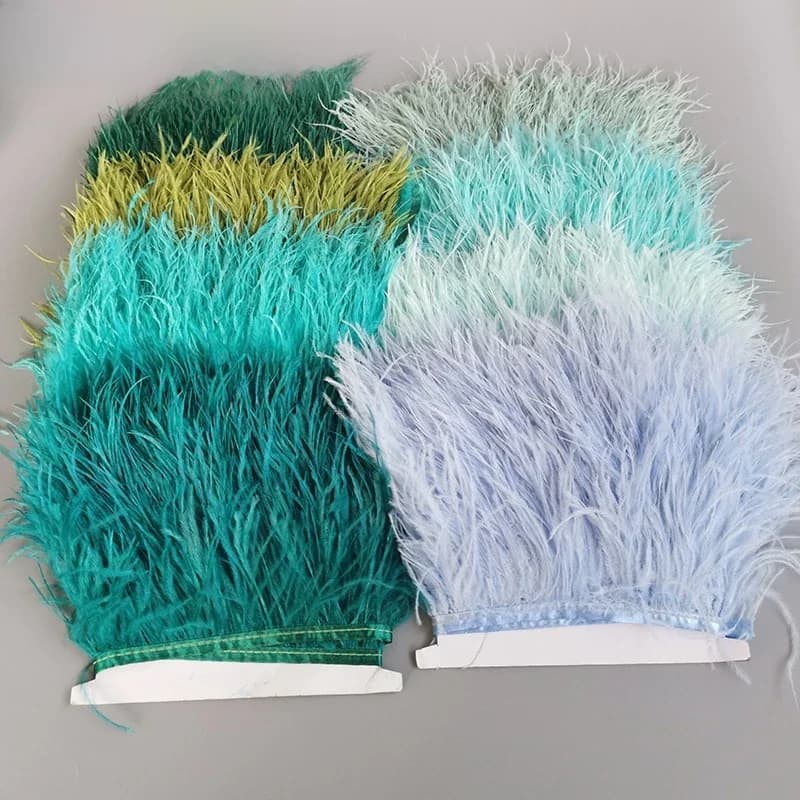 Garniture Décorative en Plumes d'Autruche de 8 à 13cm et 2 Mètres, Rubans à Franges pour Couture Grossière, Accessoires Artisanaux pour Vêtements