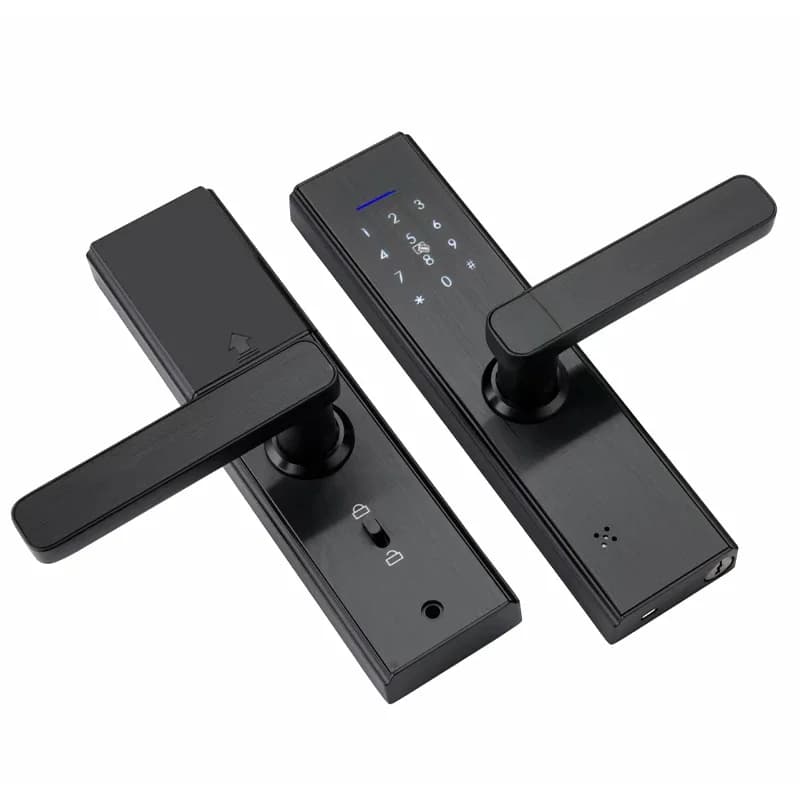 Serrure de Porte Intelligente à Empreintes Digitales, Wifi, Tuya