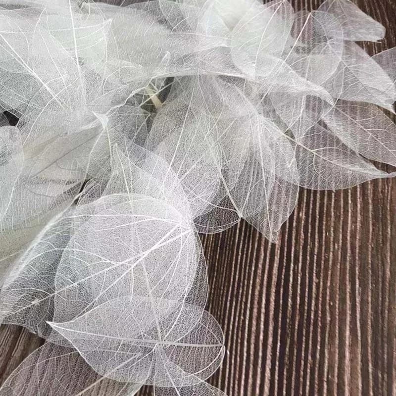 5 ~ 9CM * 2 ~ 3.5CM, 100 pièces/ensemble, véritable veine de feuille de Vajra naturelle séchée, feuilles de squelette de fleurs sèches pressées, décoration de mariage à faire soi-même