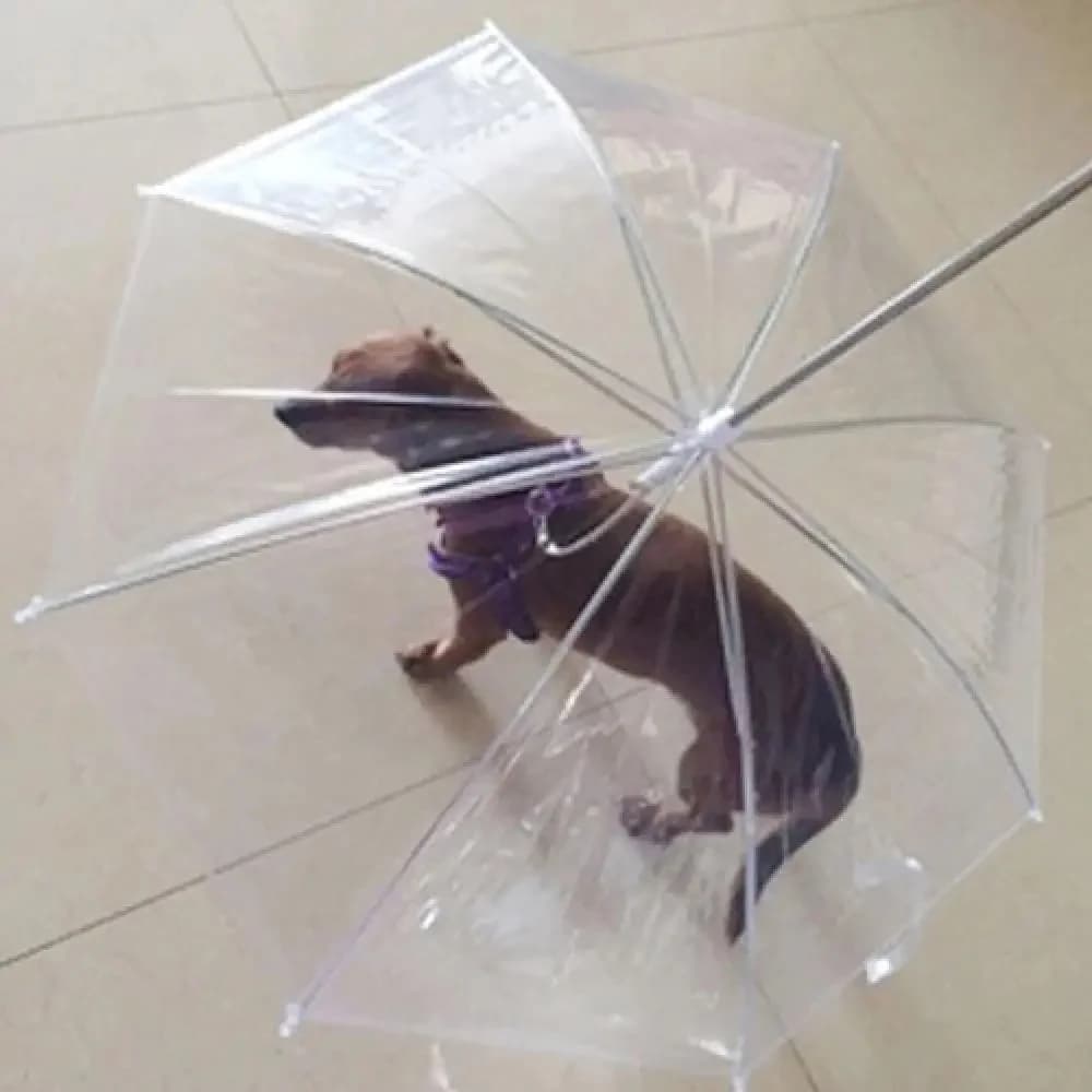 Manteaux de Pluie pour Chien, Couverture Transparente Imperméable pour la Marche, Laisse spatirée, Pluie Dormeuse, Parapluie pour Animaux de Compagnie, Fournitures pour Chiens