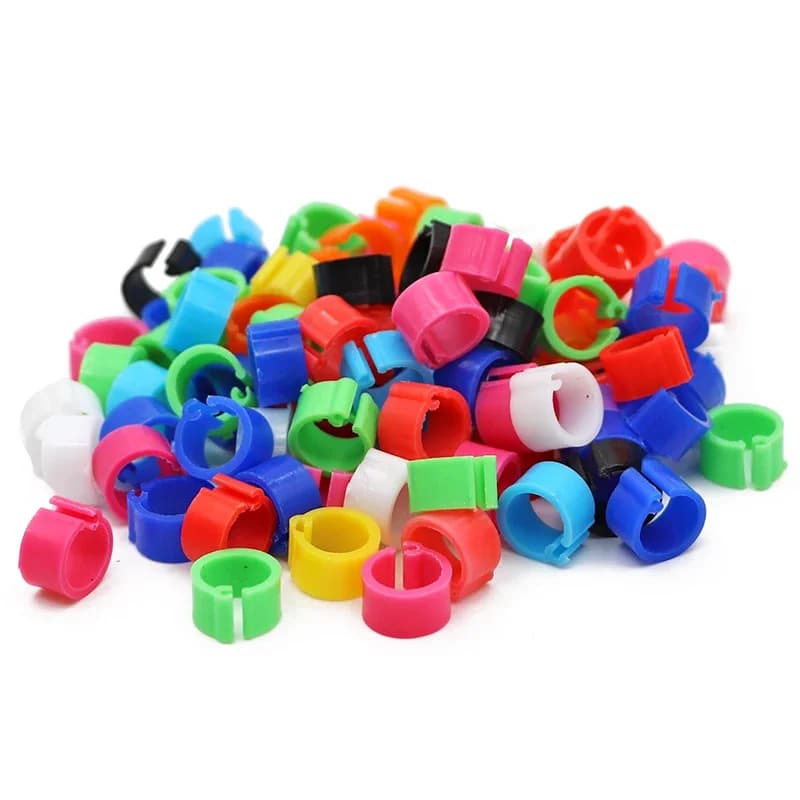 Lot d'anneaux de pieds en plastique pour pigeons, diamètre intérieur 8mm, 100 pièces, pigeons, colombe, caille