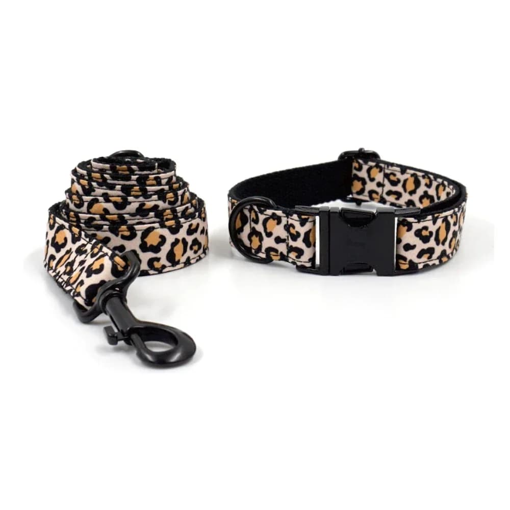 Collier de chien personnalisé, plaque signalétique pour chiot, étiquette d'identification, boucle noire réglable, imprimé léopard, colliers de base pour animaux de compagnie, laisse en plomb