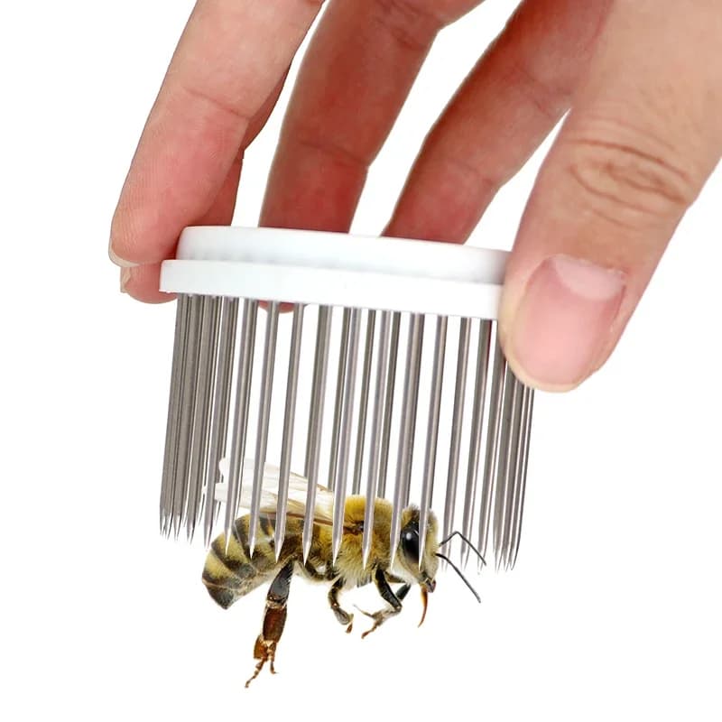 Attrape-récolte en acier inoxydable, équation de reine, type illac, couverture d'élevage, apiculteur, fournitures d'apiculture, 1 pièce