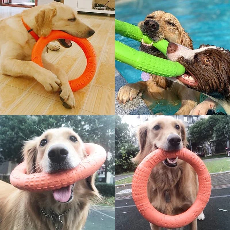 Anneau de morsure de disques volants pour animaux de compagnie, jouets pour grands chiens, entraînement oligcoule, degré flacon, petit chien