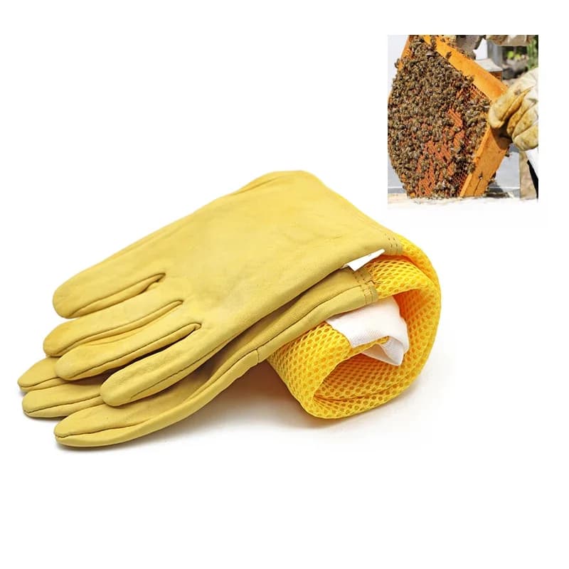 Gants pour apiculteur, manchons de protection, ventilés, professionnels, Anti-abeilles, pour apiculteur, prévention des outils de ruche