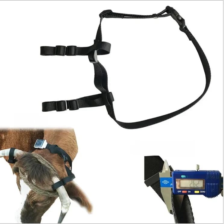 Support de collier de traqueur GPS solaire pour grands animaux, collier de cou, ceinture pour grands chiens, mouton, cheval, vache, chameau, V26, V34, V44