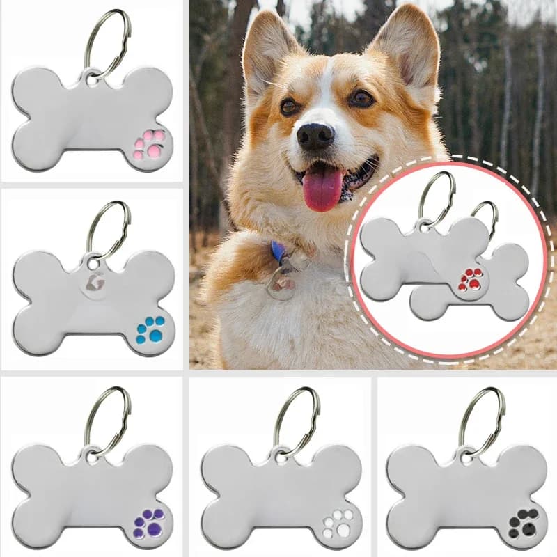 Étiquette d'identification Anti-perte pour chien, gravure personnalisée, nom d'animal de compagnie personnalisé, collier pour chiot, étiquettes en os pour chien et chat, fournitures pour animaux de