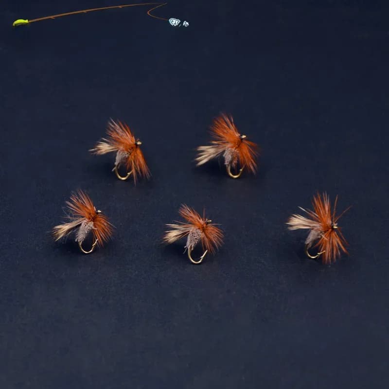 14 # Spécial cher cheveux Sedge mouches sèches pour la pêche à la truite 5 pièces/boîte mouches grand motif Sedge