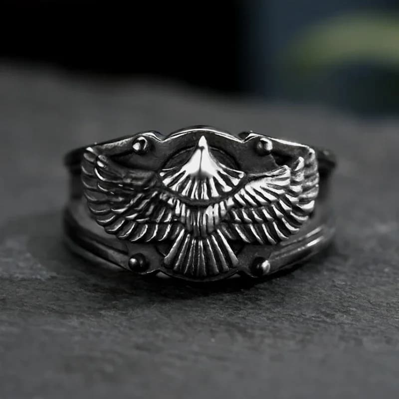 Bagues en acier inoxydable pour hommes, aigle volant, Punk Rock, personnalité pour petit ami, bijoux créatifs, cadeau, vente en gros