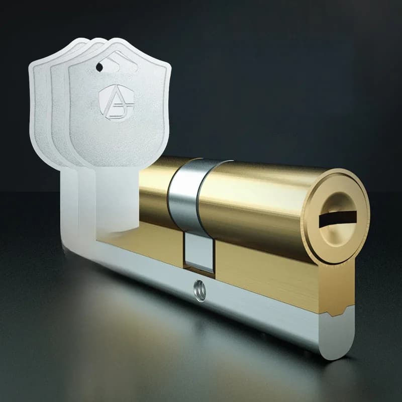 Lot de 10 cylindres de serrure de porte en laiton 65-110 mm à double ouverture, lame anti-effraction, cylindre à rainure serpent en acier inoxydable