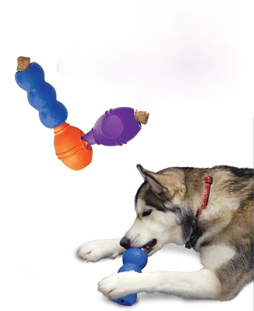 Jouet pour chien KONG Genius stabiliser, taille S, le document varie