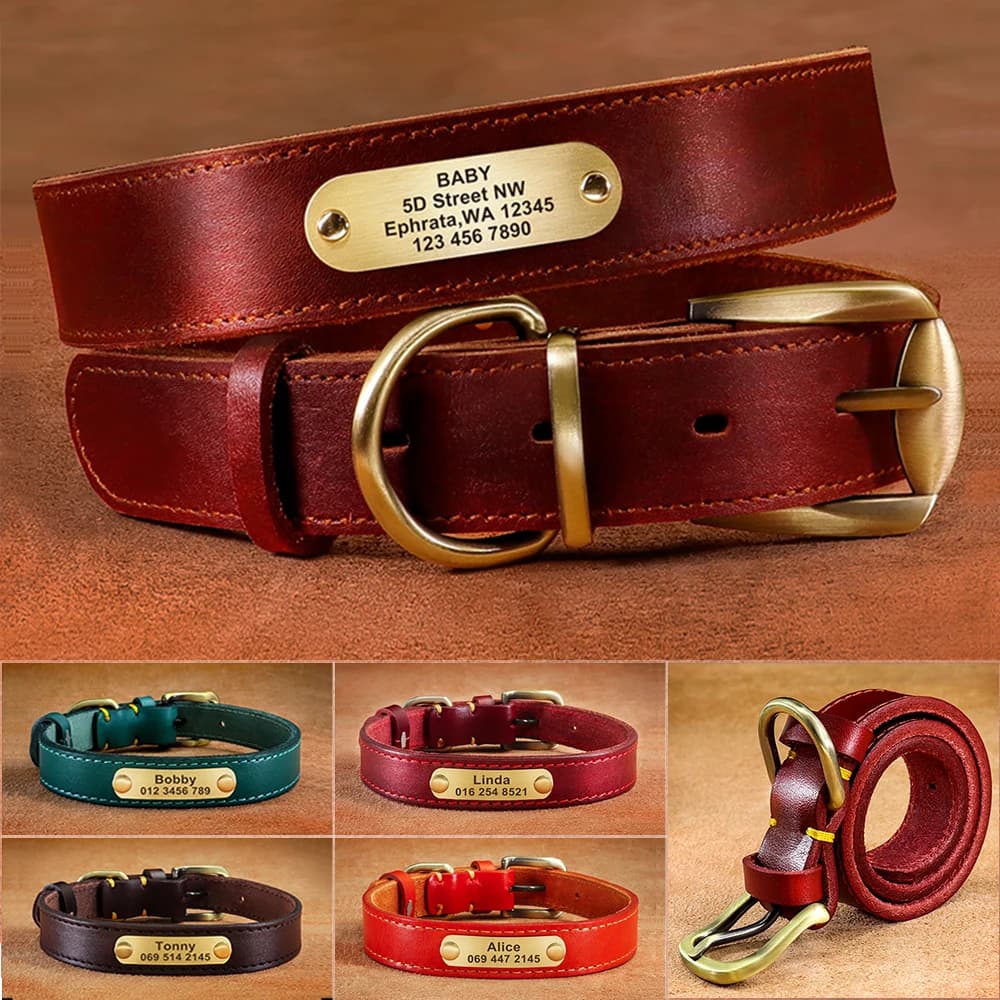 Collier en cuir personnalisé pour chien, étiquette d'identification gravée pour animaux de compagnie, petits chiens moyens et grands chiens, bouledogue français, PDPPitbull