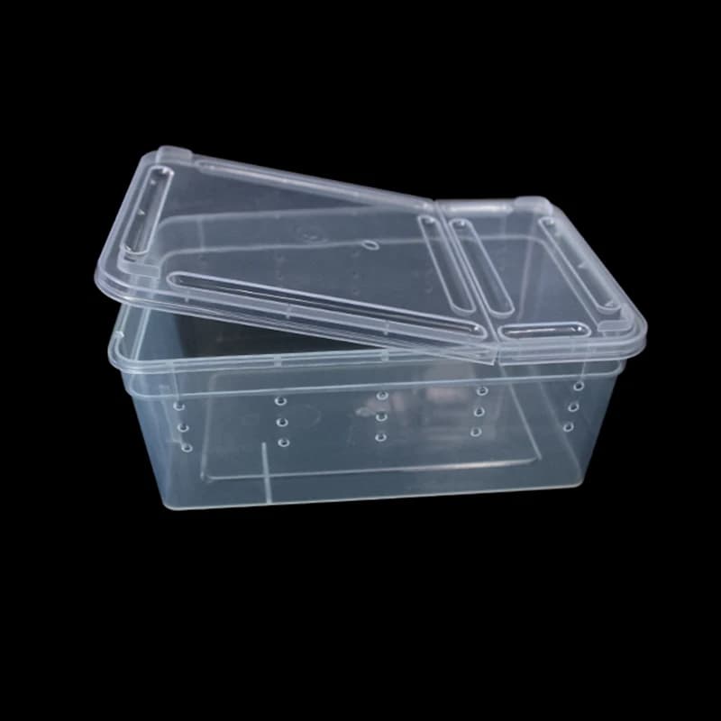 Boîte en plastique transparente, Transport d'insectes et de reptiles, réservoir de tortues, boîte d'élevage pour araignées, lézards, serpents et grenouilles