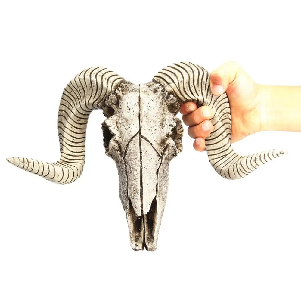 Squelette en résine tête de mouton et de bélier, Sculpture de Longhorn en 3D, décoration de maison