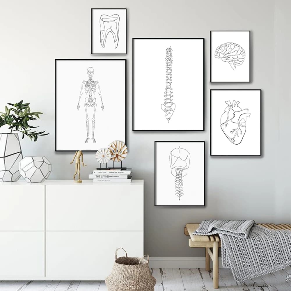 Posters et Imprimés de Modules d'Anatomie Seton One Line, Dessin de Cœur d'Anatomie, Illustration sur Toile, Décor Mural de Clinique, Cadeau