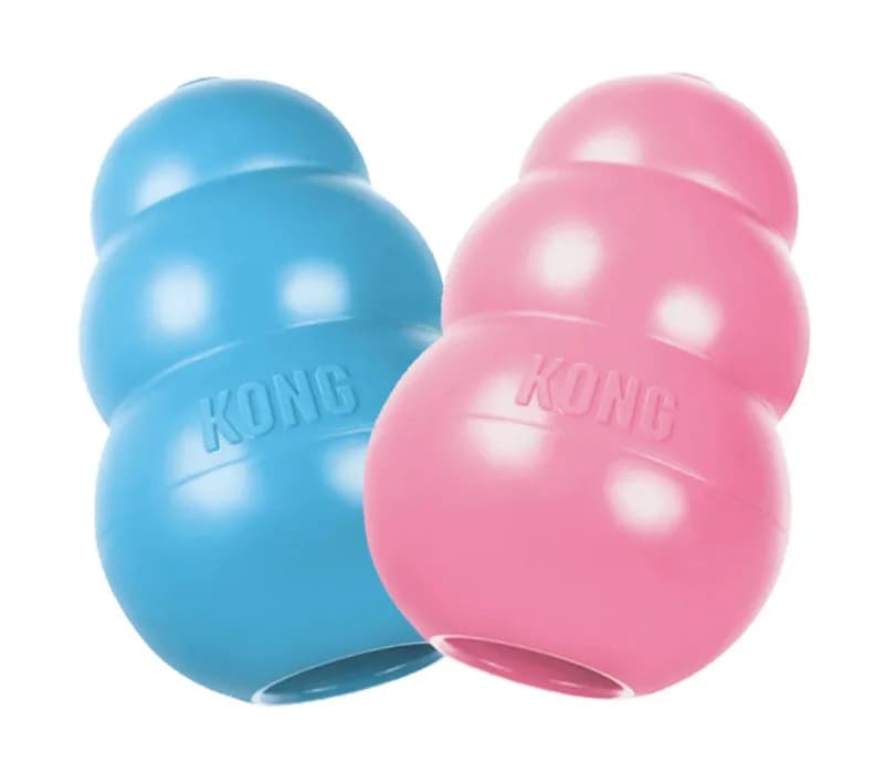 KONG-Jouet à mâcher pour chien en caoutchouc de dentition naturel chiot avec votre choix de XS-L de jouet soucieux