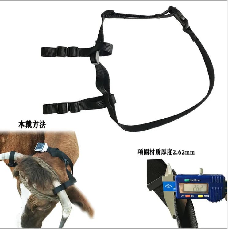 Support de collier de traqueur GPS solaire pour grands animaux, collier de cou, ceinture pour grands chiens, mouton, cheval, vache, chameau, V26, V34, V44