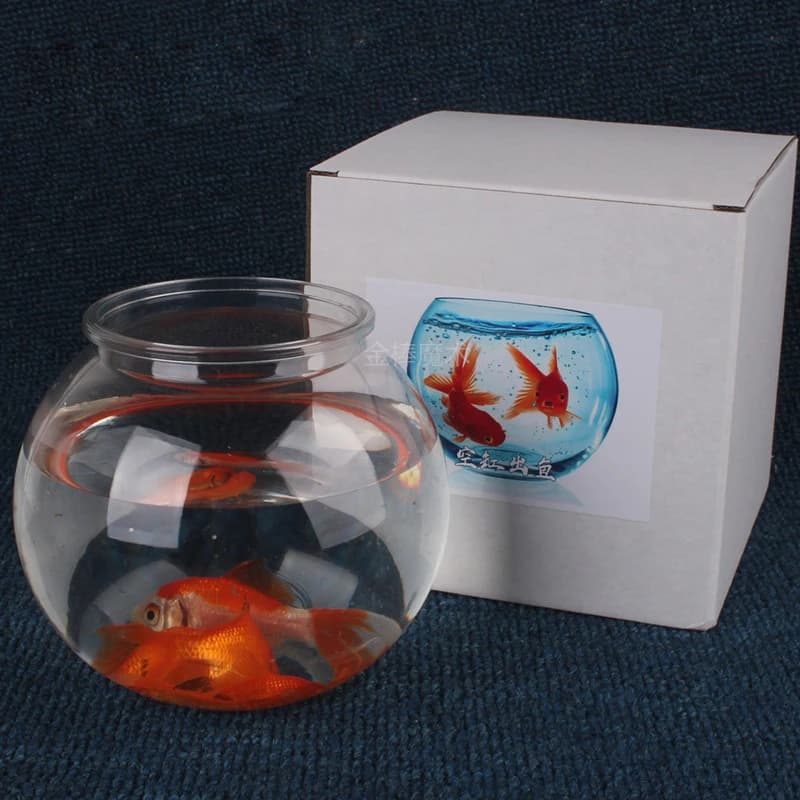 Filles de magicien poisson rouge, tours de magie de scène, poisson rouge apparaissant, accessoires de magicien, gadget de mentalisme
