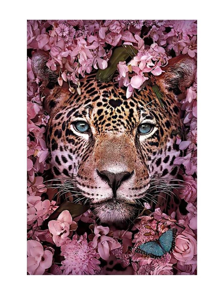 Peinture diamant thème tigre, broderie complète, perles carrées ou rondes, points de croix, fleurs, image en biscuits
