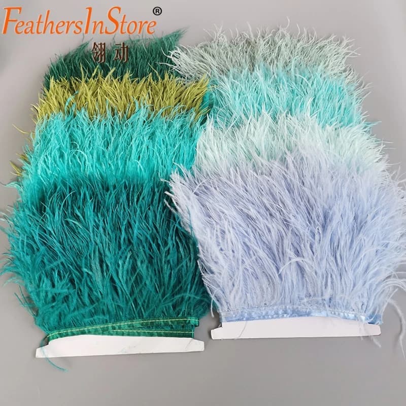 Garniture Décorative en Plumes d'Autruche de 8 à 13cm et 2 Mètres, Rubans à Franges pour Couture Grossière, Accessoires Artisanaux pour Vêtements