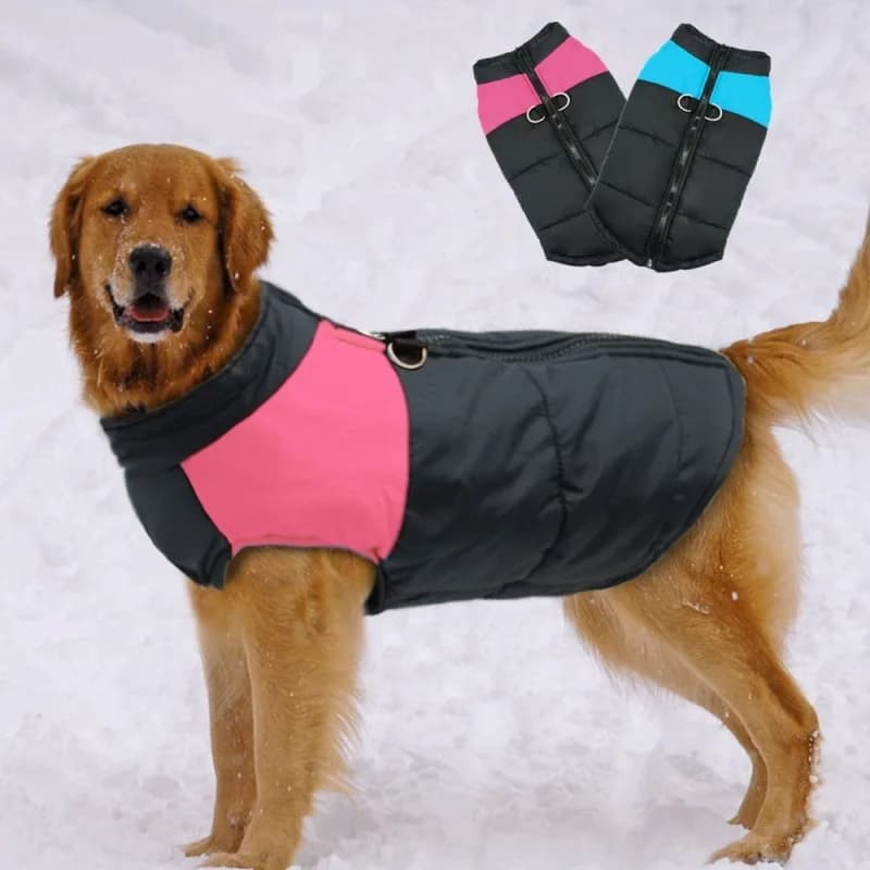 Veste imperméable pour grands chiens, vêtements chauds d'hiver pour animaux de compagnie, manteau pour petits et grands chiots