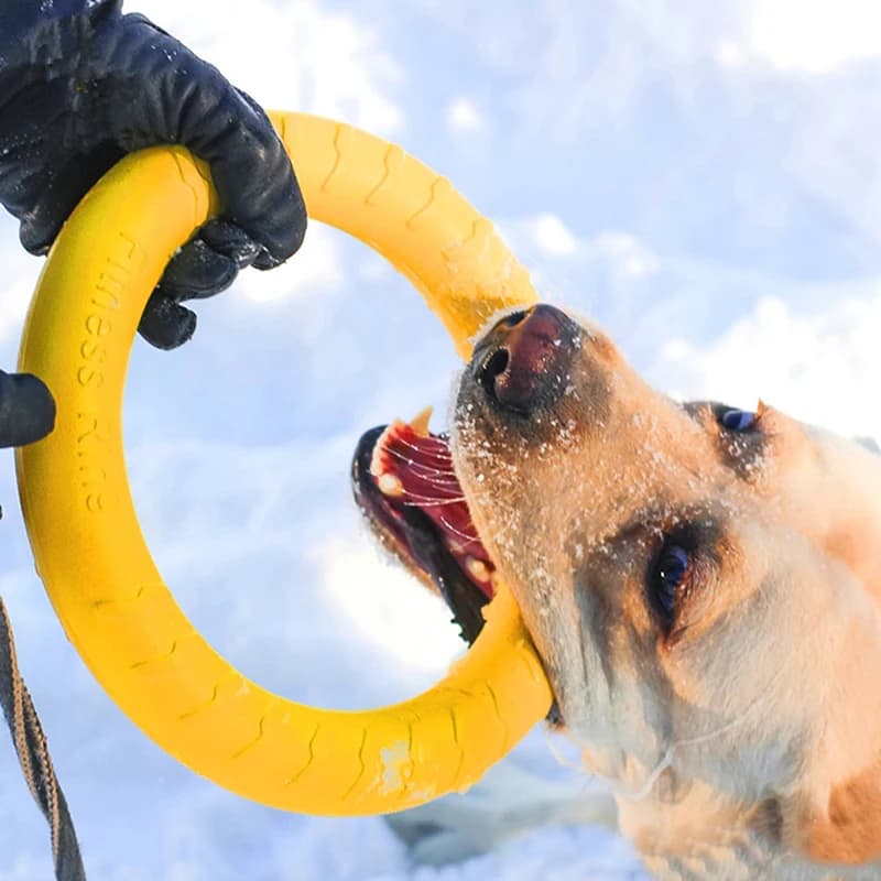 Jouets d'entraînement interactifs pour animaux de compagnie, extracteur d'anneaux pour chiens moyens et grands, lévrier et pitbull, jouet pour chien OligBig, accessoires de mascotte, sécurité
