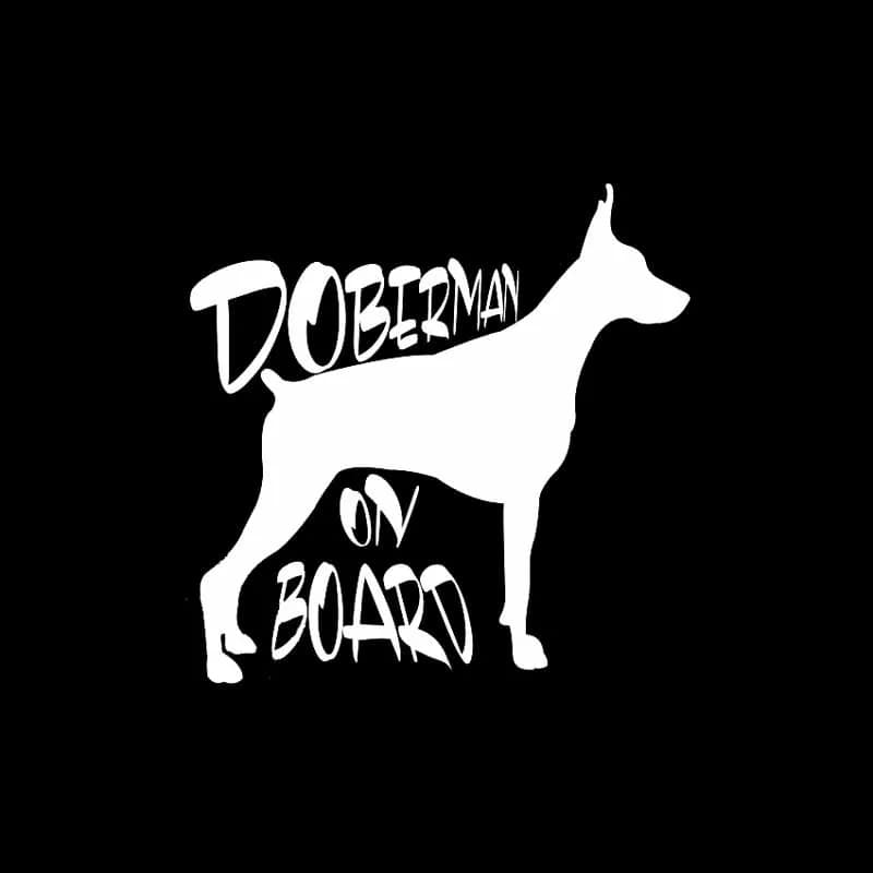 Autocollant de voiture Doberman, autocollant de personnalité, imperméable, écran solaire réfléchissant, accessoires extérieurs, en vinyle, 15cm x 14cm