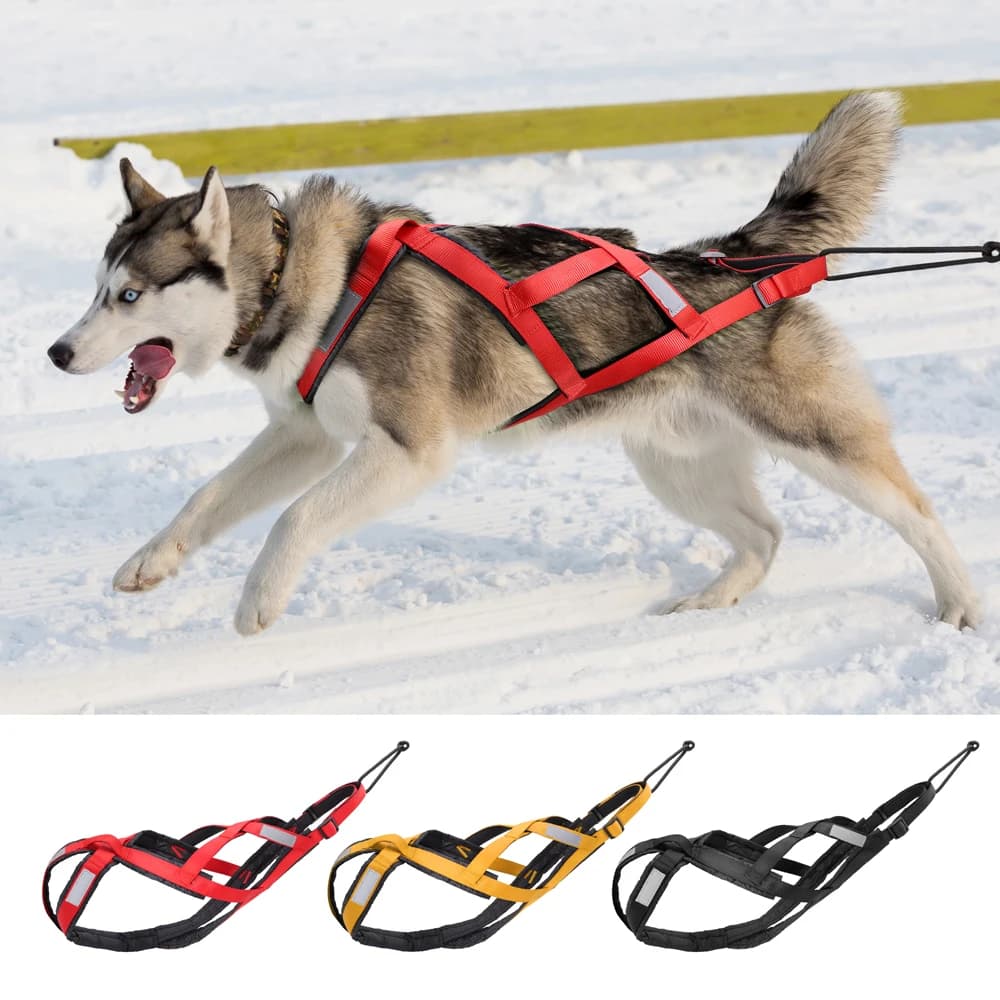 Traîneau à traction SFP étanche pour grands chiens Husky, exercice pour animaux de compagnie, bikejoring, traîneau, skijoring, SFP